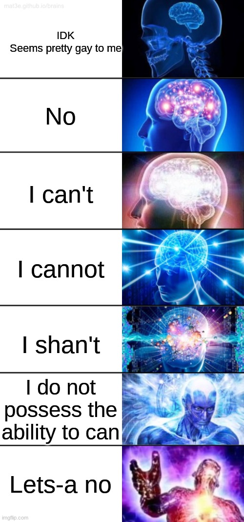 7-Tier Expanding Brain | IDK
Seems pretty gay to me; No; I can't; I cannot; I shan't; I do not possess the ability to can; Lets-a no | image tagged in 7-tier expanding brain,filthy frank,i dunno man seems kinda gay to me,mario,william shakespeare | made w/ Imgflip meme maker