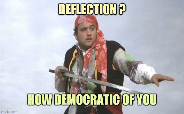 Pirate Belushi | DEFLECTION ? HOW DEMOCRATIC OF YOU | image tagged in pirate belushi | made w/ Imgflip meme maker