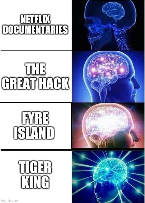 Netflix documentaries | NETFLIX DOCUMENTARIES; THE GREAT HACK; FYRE ISLAND; TIGER KING | image tagged in memes,expanding brain,netflix | made w/ Imgflip meme maker