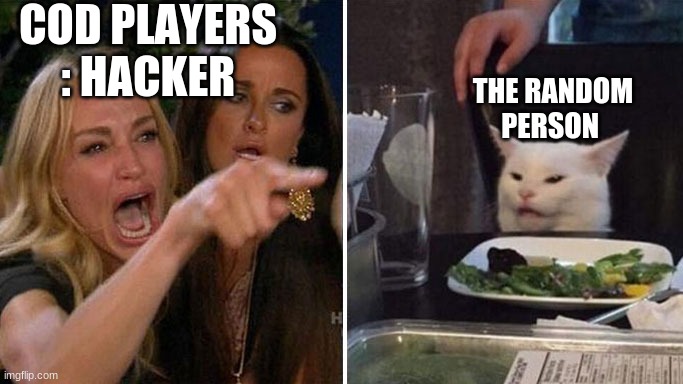 Angry lady cat | COD PLAYERS : HACKER; THE RANDOM PERSON | image tagged in angry lady cat | made w/ Imgflip meme maker