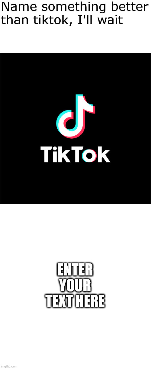 Name something better than tiktok, I'll wait | ENTER YOUR TEXT HERE | image tagged in name something better than tiktok i'll wait | made w/ Imgflip meme maker
