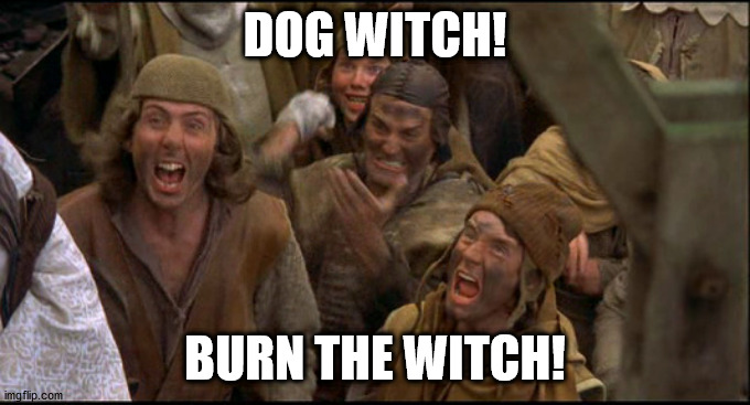 Burn the Witch! | DOG WITCH! BURN THE WITCH! | image tagged in burn the witch | made w/ Imgflip meme maker