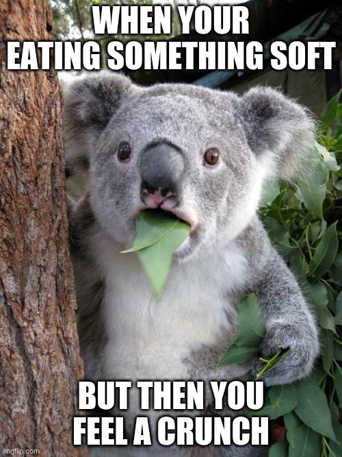 Surprised Koala |  WHEN YOUR EATING SOMETHING SOFT; BUT THEN YOU FEEL A CRUNCH | image tagged in memes,surprised koala | made w/ Imgflip meme maker