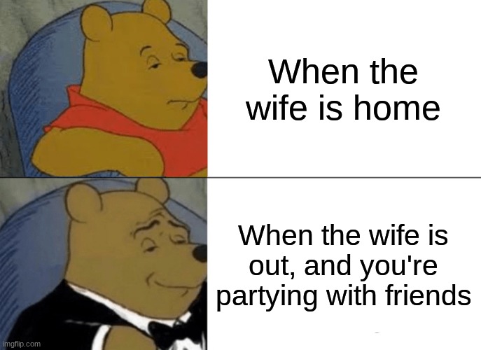 While wife is away Winnie the pooh meme | When the wife is home; When the wife is out, and you're partying with friends | image tagged in memes,tuxedo winnie the pooh | made w/ Imgflip meme maker