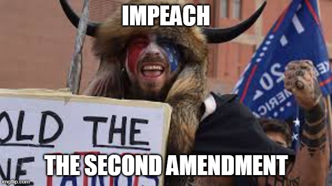 DC Viking | IMPEACH; THE SECOND AMENDMENT | image tagged in dc viking | made w/ Imgflip meme maker