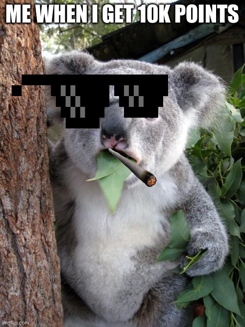Surprised Koala Meme | ME WHEN I GET 10K POINTS | image tagged in memes,surprised koala | made w/ Imgflip meme maker