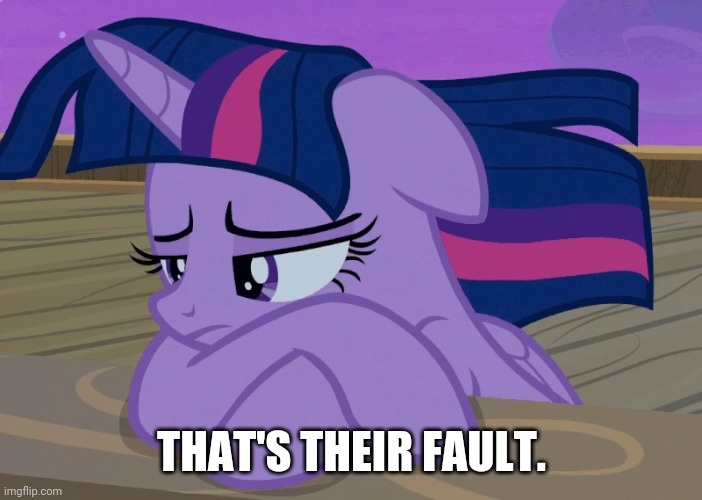 Depressed Twilight Sparkle (MLP) | THAT'S THEIR FAULT. | image tagged in depressed twilight sparkle mlp | made w/ Imgflip meme maker