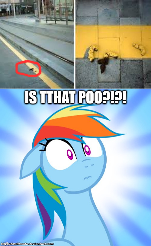 EWW!!! | IS TTHAT POO?!?! | image tagged in shocked rainbow dash,memes,funny,you had one job,poop | made w/ Imgflip meme maker