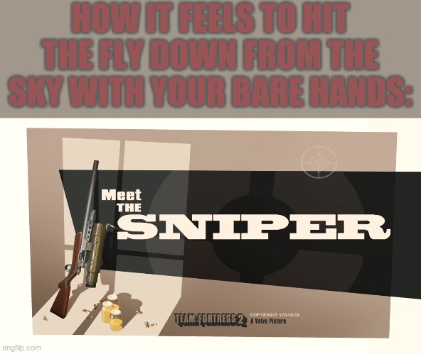 snipin's a good job, m8 | HOW IT FEELS TO HIT THE FLY DOWN FROM THE SKY WITH YOUR BARE HANDS: | image tagged in meet the sniper | made w/ Imgflip meme maker