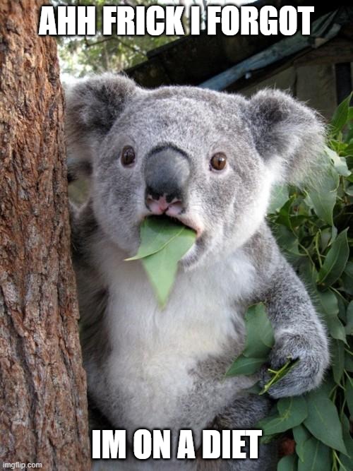 Being on a Diet be Like... | AHH FRICK I FORGOT; IM ON A DIET | image tagged in memes,surprised koala,diet,food,xd,animals | made w/ Imgflip meme maker