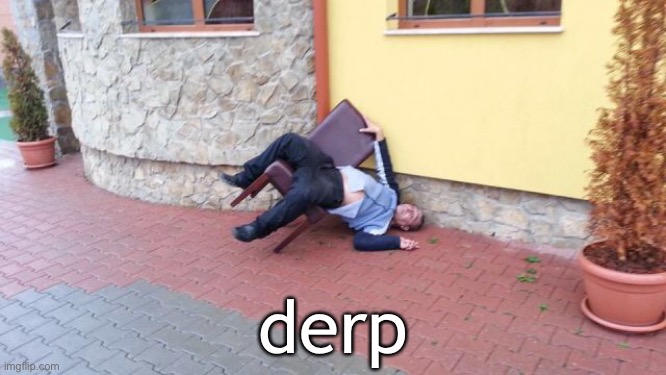 derp | made w/ Imgflip meme maker