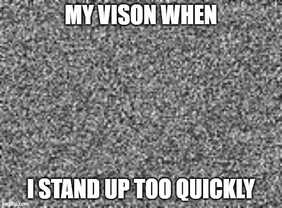 haha vison go brr >;) | MY VISON WHEN; I STAND UP TOO QUICKLY | image tagged in static,die vison,brr | made w/ Imgflip meme maker
