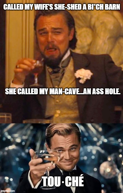 Gotta give em the credit when they get it right! | CALLED MY WIFE'S SHE-SHED A BI*CH BARN; SHE CALLED MY MAN-CAVE...AN ASS HOLE. TOU·CHÉ | image tagged in memes,laughing leo,congratulations man,funny memes | made w/ Imgflip meme maker