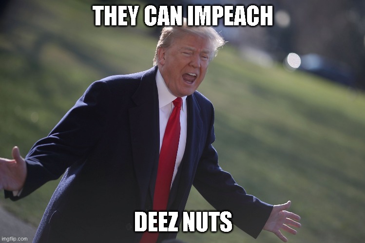 Impeach deez nuts | THEY CAN IMPEACH; DEEZ NUTS | image tagged in trump,donald trump,impeachment,impeach | made w/ Imgflip meme maker