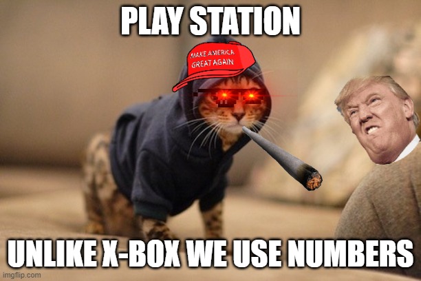 Hoody Cat | PLAY STATION; UNLIKE X-BOX WE USE NUMBERS | image tagged in memes,hoody cat | made w/ Imgflip meme maker