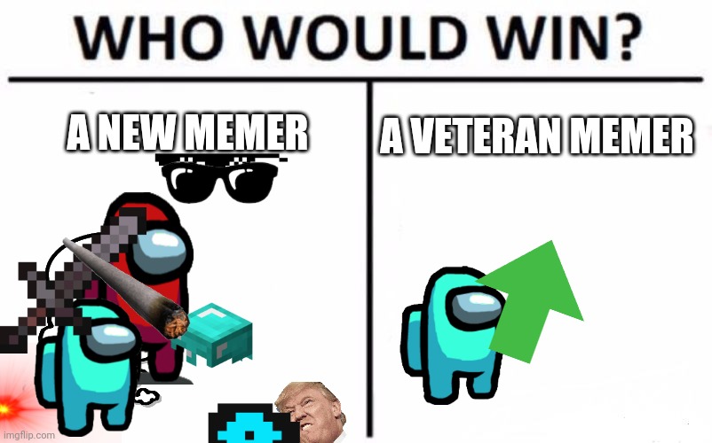 Who would win???? | A NEW MEMER; A VETERAN MEMER | image tagged in memes,who would win | made w/ Imgflip meme maker