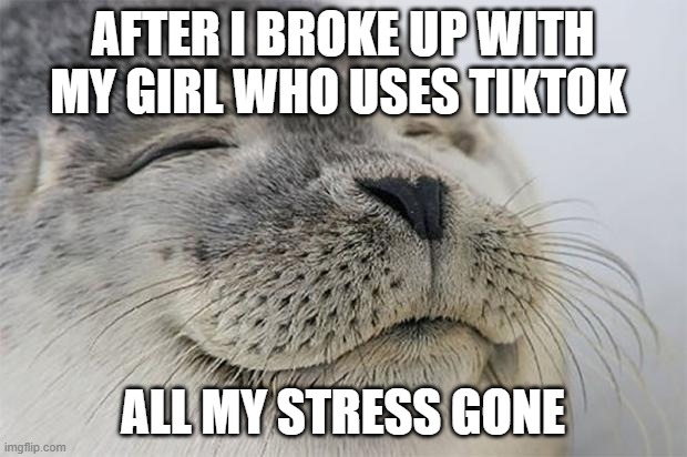 Satisfied Seal | AFTER I BROKE UP WITH MY GIRL WHO USES TIKTOK; ALL MY STRESS GONE | image tagged in memes,satisfied seal | made w/ Imgflip meme maker