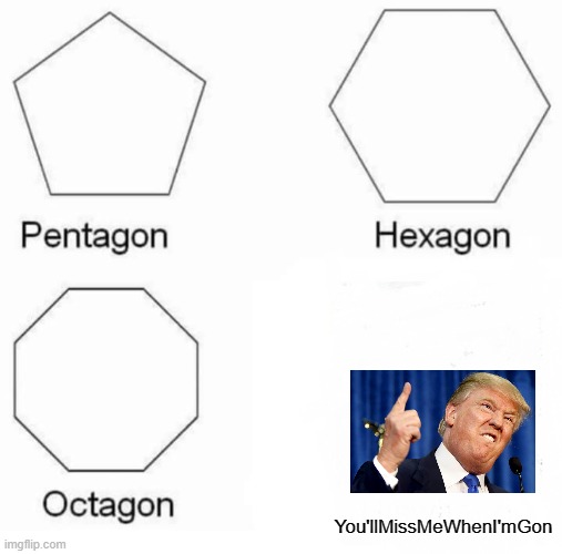 Libs will miss their scapegoat and Cons will miss a non-politician in the White House | You'llMissMeWhenI'mGon | image tagged in memes,pentagon hexagon octagon,trump,donald trump | made w/ Imgflip meme maker