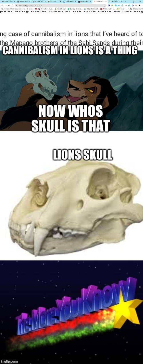 traumatizing lion king | CANNIBALISM IN LIONS IS A THING; NOW WHOS SKULL IS THAT; LIONS SKULL | image tagged in the more you know | made w/ Imgflip meme maker
