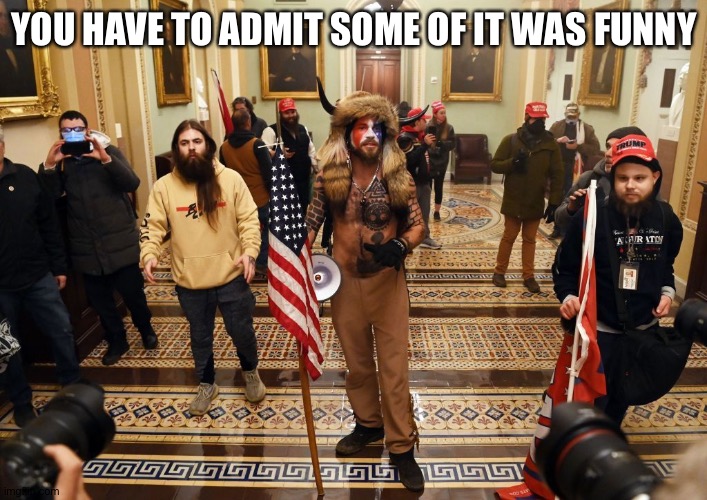 Capitol Buffalo guy | YOU HAVE TO ADMIT SOME OF IT WAS FUNNY | image tagged in capitol buffalo guy | made w/ Imgflip meme maker