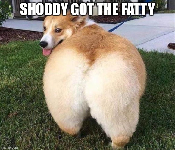SHODDY GOT THE FATTY | image tagged in philosoraptor | made w/ Imgflip meme maker