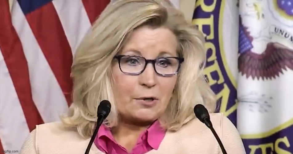 Liz Cheney | image tagged in memes | made w/ Imgflip meme maker