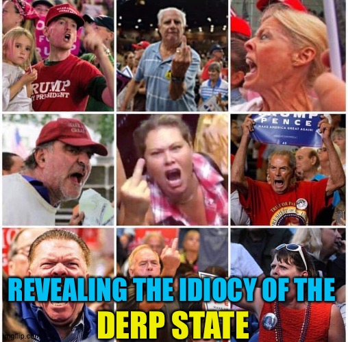 Triggered Trump supporters | REVEALING THE IDIOCY OF THE DERP STATE | image tagged in triggered trump supporters | made w/ Imgflip meme maker