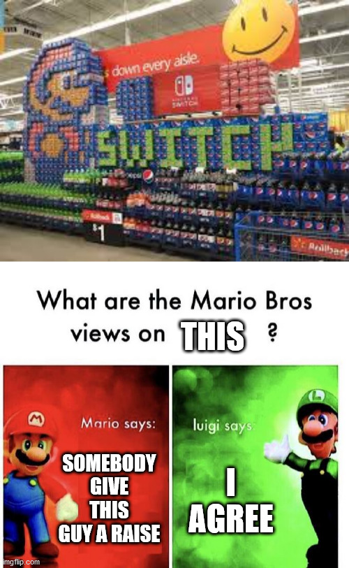 Give him a raise! | THIS; SOMEBODY GIVE THIS GUY A RAISE; I AGREE | image tagged in mario bros views,memes,funny,you had one job,and you nailed it,you had one job and you nailed it | made w/ Imgflip meme maker
