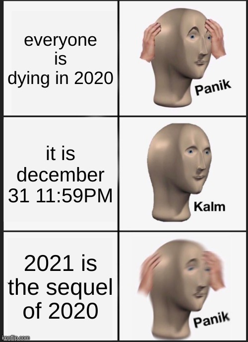 brace urself | everyone is dying in 2020; it is december 31 11:59PM; 2021 is the sequel of 2020 | image tagged in memes,panik kalm panik | made w/ Imgflip meme maker