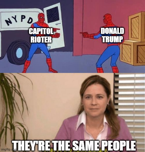 DONALD TRUMP; CAPITOL RIOTER; THEY'RE THE SAME PEOPLE | image tagged in spider man double,i see no diffrence | made w/ Imgflip meme maker