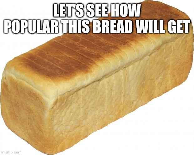Breadddd | LET'S SEE HOW POPULAR THIS BREAD WILL GET | image tagged in breadddd | made w/ Imgflip meme maker