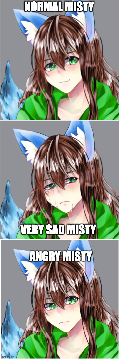 My fursona!! | NORMAL MISTY; VERY SAD MISTY; ANGRY MISTY | made w/ Imgflip meme maker