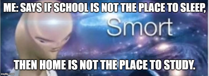 Meme man smort | ME: SAYS IF SCHOOL IS NOT THE PLACE TO SLEEP, THEN HOME IS NOT THE PLACE TO STUDY. | image tagged in meme man smort | made w/ Imgflip meme maker