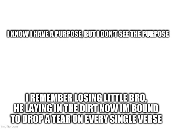 Blank White Template | I KNOW I HAVE A PURPOSE, BUT I DON'T SEE THE PURPOSE; I REMEMBER LOSING LITTLE BRO, HE LAYING IN THE DIRT NOW IM BOUND TO DROP A TEAR ON EVERY SINGLE VERSE | image tagged in blank white template | made w/ Imgflip meme maker