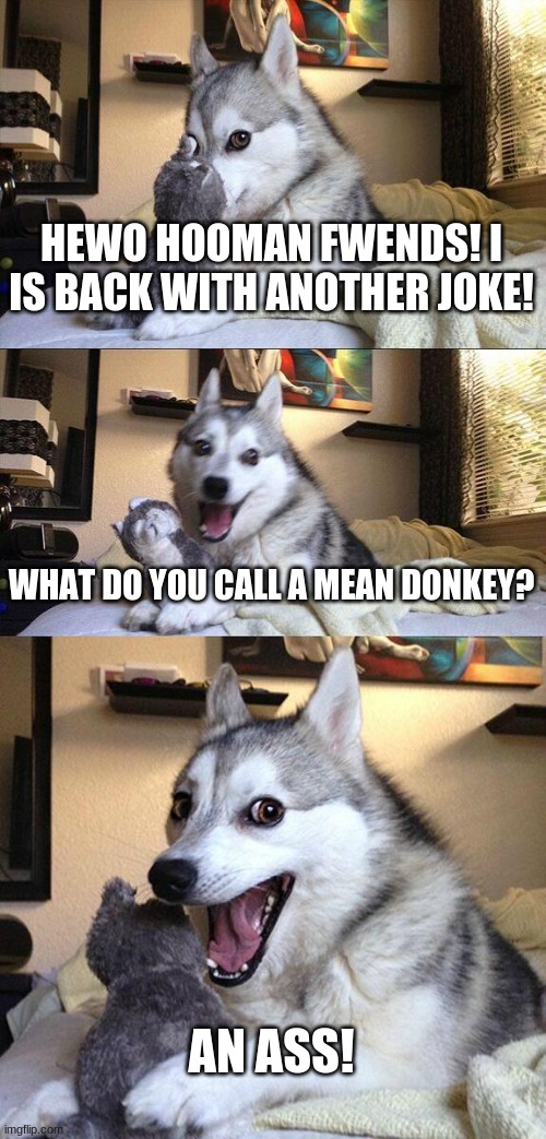 WHat do you call a mean donkey? | HEWO HOOMAN FWENDS! I IS BACK WITH ANOTHER JOKE! WHAT DO YOU CALL A MEAN DONKEY? AN ASS! | image tagged in memes,bad pun dog | made w/ Imgflip meme maker