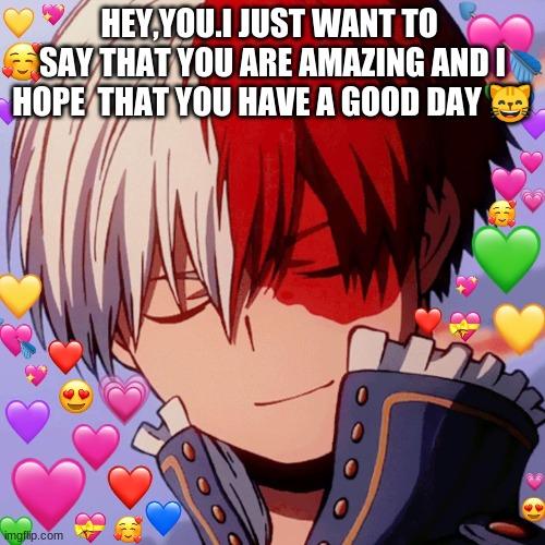 Have a good day :D | HEY,YOU.I JUST WANT TO  SAY THAT YOU ARE AMAZING AND I HOPE  THAT YOU HAVE A GOOD DAY 😸 | image tagged in have a nice day,everyone | made w/ Imgflip meme maker