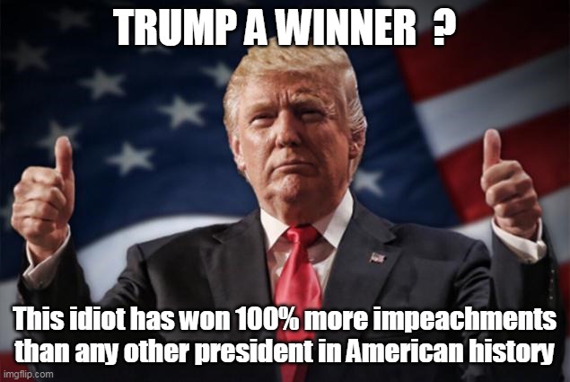 Winner? | TRUMP A WINNER  ? This idiot has won 100% more impeachments than any other president in American history | image tagged in donald trump | made w/ Imgflip meme maker
