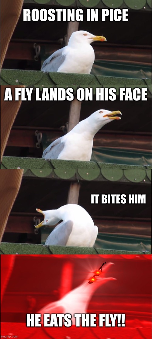 Inhaling Seagull Meme | ROOSTING IN PICE; A FLY LANDS ON HIS FACE; IT BITES HIM; HE EATS THE FLY!! | image tagged in memes,inhaling seagull | made w/ Imgflip meme maker