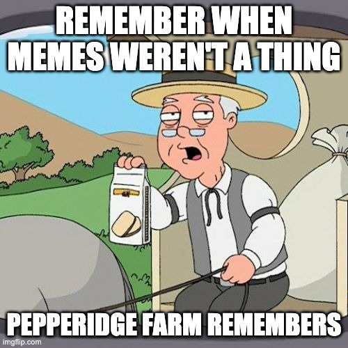 Pepperidge Farm Remembers | REMEMBER WHEN MEMES WEREN'T A THING; PEPPERIDGE FARM REMEMBERS | image tagged in memes,pepperidge farm remembers | made w/ Imgflip meme maker