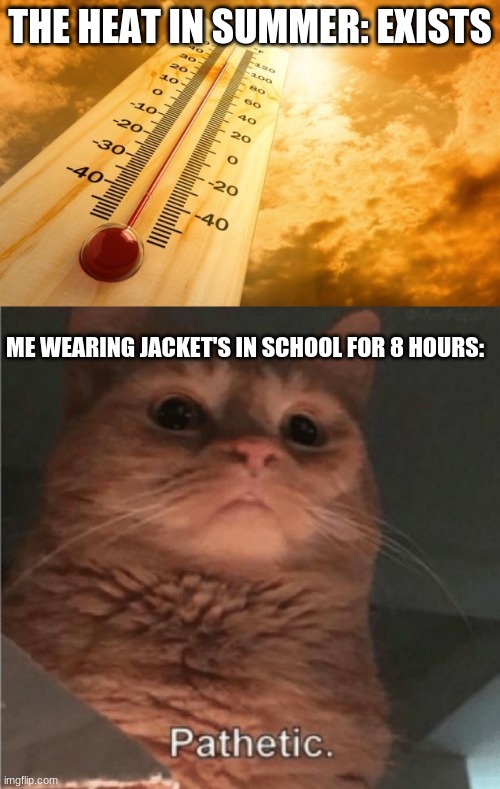 Pathetic | THE HEAT IN SUMMER: EXISTS; ME WEARING JACKET'S IN SCHOOL FOR 8 HOURS: | image tagged in summer heat,pathetic cat | made w/ Imgflip meme maker
