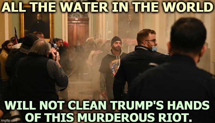 Trump may deny responsibility, but we know better. | ALL THE WATER IN THE WORLD; WILL NOT CLEAN TRUMP'S HANDS 
OF THIS MURDEROUS RIOT. | image tagged in trump,riots,murderer | made w/ Imgflip meme maker