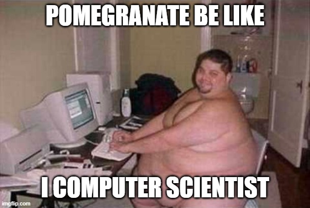 a | POMEGRANATE BE LIKE; I COMPUTER SCIENTIST | image tagged in aa | made w/ Imgflip meme maker