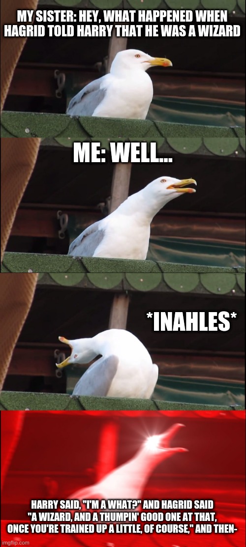 Inhaling Seagull Meme | MY SISTER: HEY, WHAT HAPPENED WHEN HAGRID TOLD HARRY THAT HE WAS A WIZARD; ME: WELL... *INAHLES*; HARRY SAID, "I'M A WHAT?" AND HAGRID SAID "A WIZARD, AND A THUMPIN' GOOD ONE AT THAT, ONCE YOU'RE TRAINED UP A LITTLE, OF COURSE," AND THEN- | image tagged in memes,inhaling seagull | made w/ Imgflip meme maker
