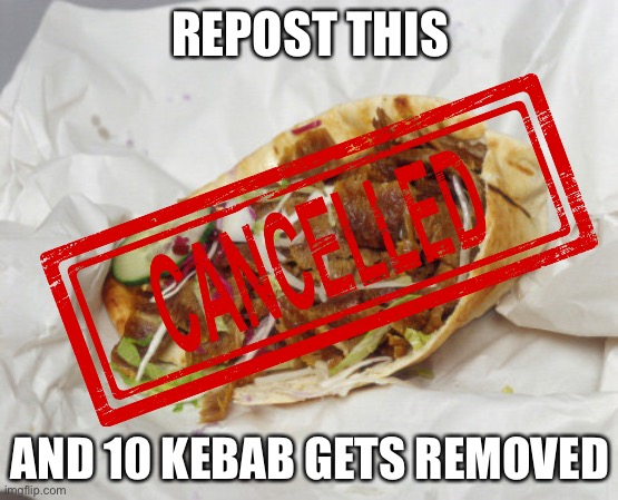 Yes | REPOST THIS; AND 10 KEBAB GETS REMOVED | image tagged in kebab,serbia,repost,remove kebab | made w/ Imgflip meme maker