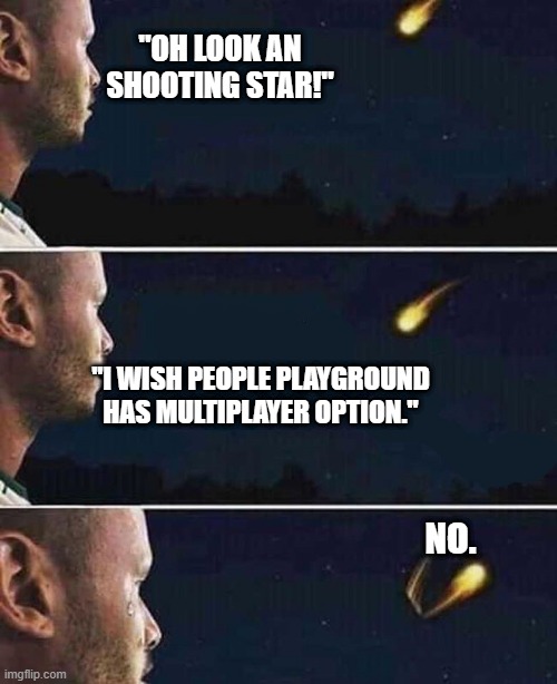 One day..... | "OH LOOK AN SHOOTING STAR!"; "I WISH PEOPLE PLAYGROUND HAS MULTIPLAYER OPTION."; NO. | image tagged in shooting star | made w/ Imgflip meme maker