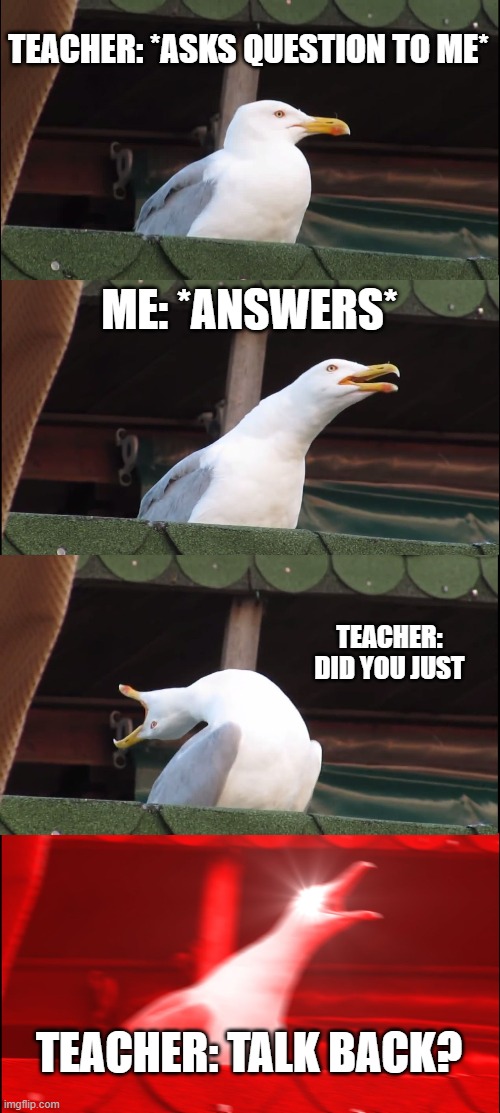 Inhaling Seagull | TEACHER: *ASKS QUESTION TO ME*; ME: *ANSWERS*; TEACHER: DID YOU JUST; TEACHER: TALK BACK? | image tagged in memes,inhaling seagull | made w/ Imgflip meme maker