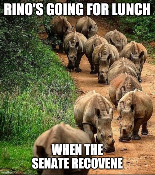 RINO'S GOING FOR LUNCH; WHEN THE SENATE RECOVENE | made w/ Imgflip meme maker