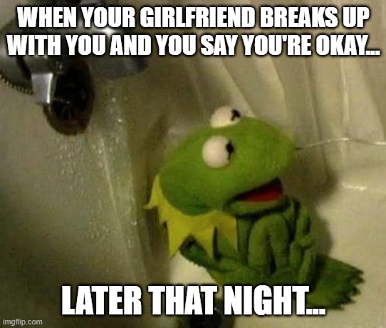 :( | WHEN YOUR GIRLFRIEND BREAKS UP WITH YOU AND YOU SAY YOU'RE OKAY... LATER THAT NIGHT... | image tagged in kermit on shower | made w/ Imgflip meme maker