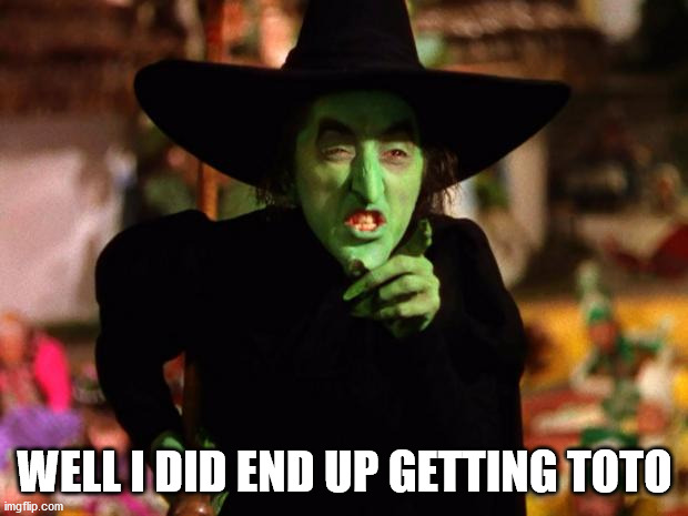 wicked witch  | WELL I DID END UP GETTING TOTO | image tagged in wicked witch | made w/ Imgflip meme maker