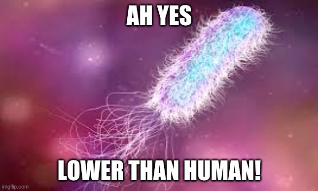 AH YES LOWER THAN HUMAN! | made w/ Imgflip meme maker